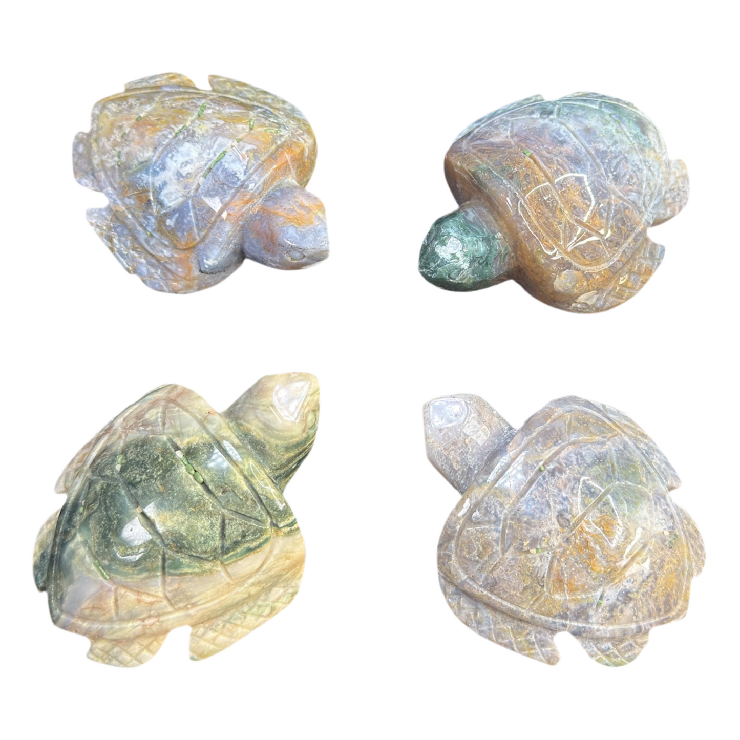 Ocean Jasper Turtles