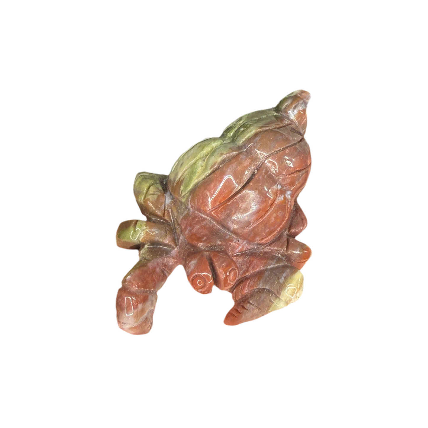 Ocean Jasper Crab