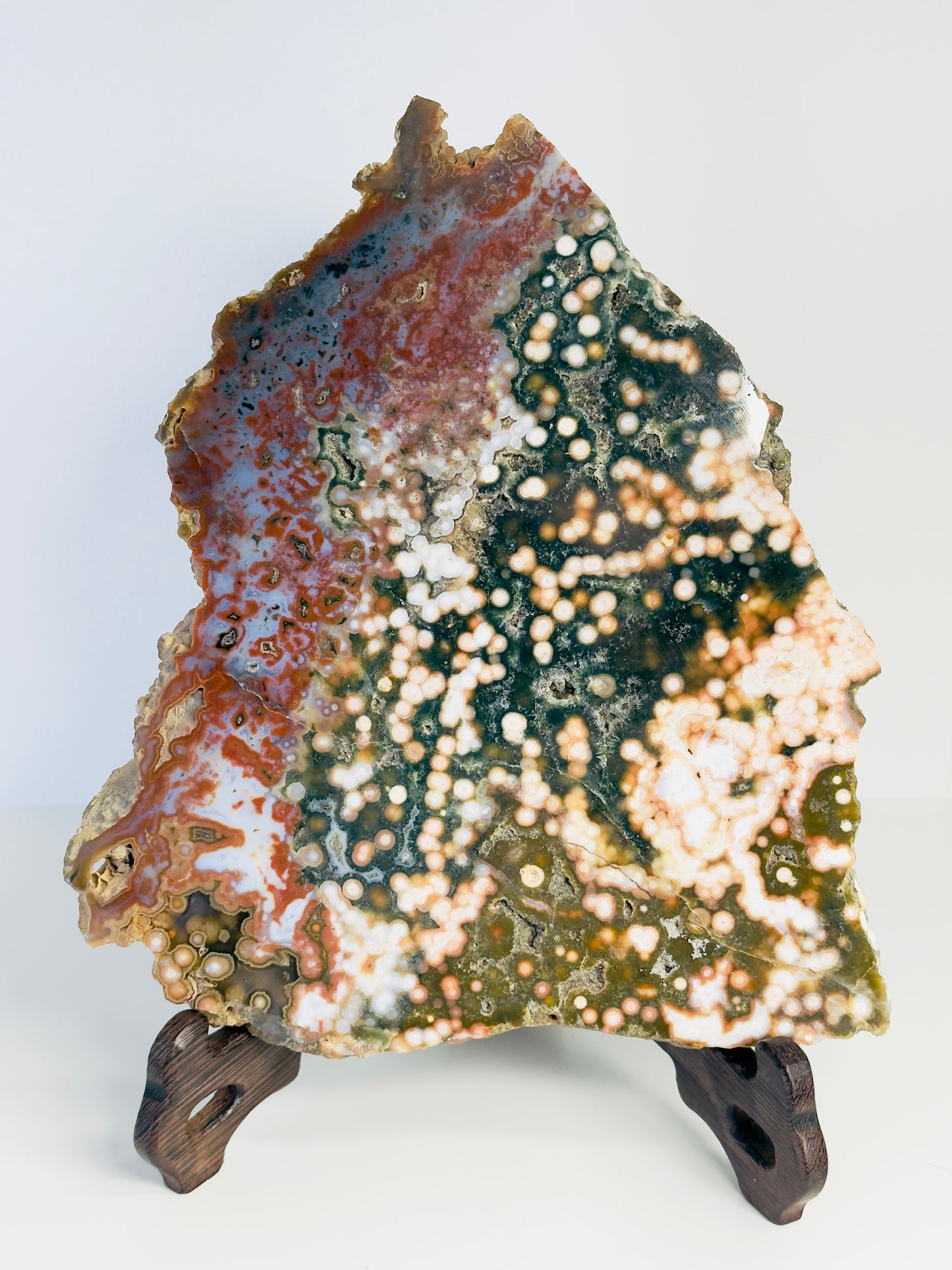 XL HQ Ocean Jasper Slab