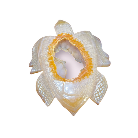 Druzy Agate Turtle