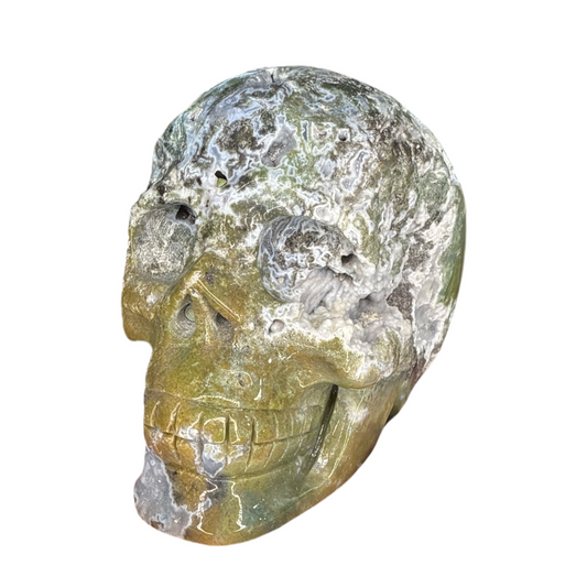 Moss Agate X Ocean Jasper Skull