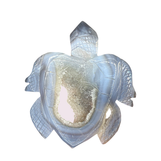 Druzy Agate Turtle