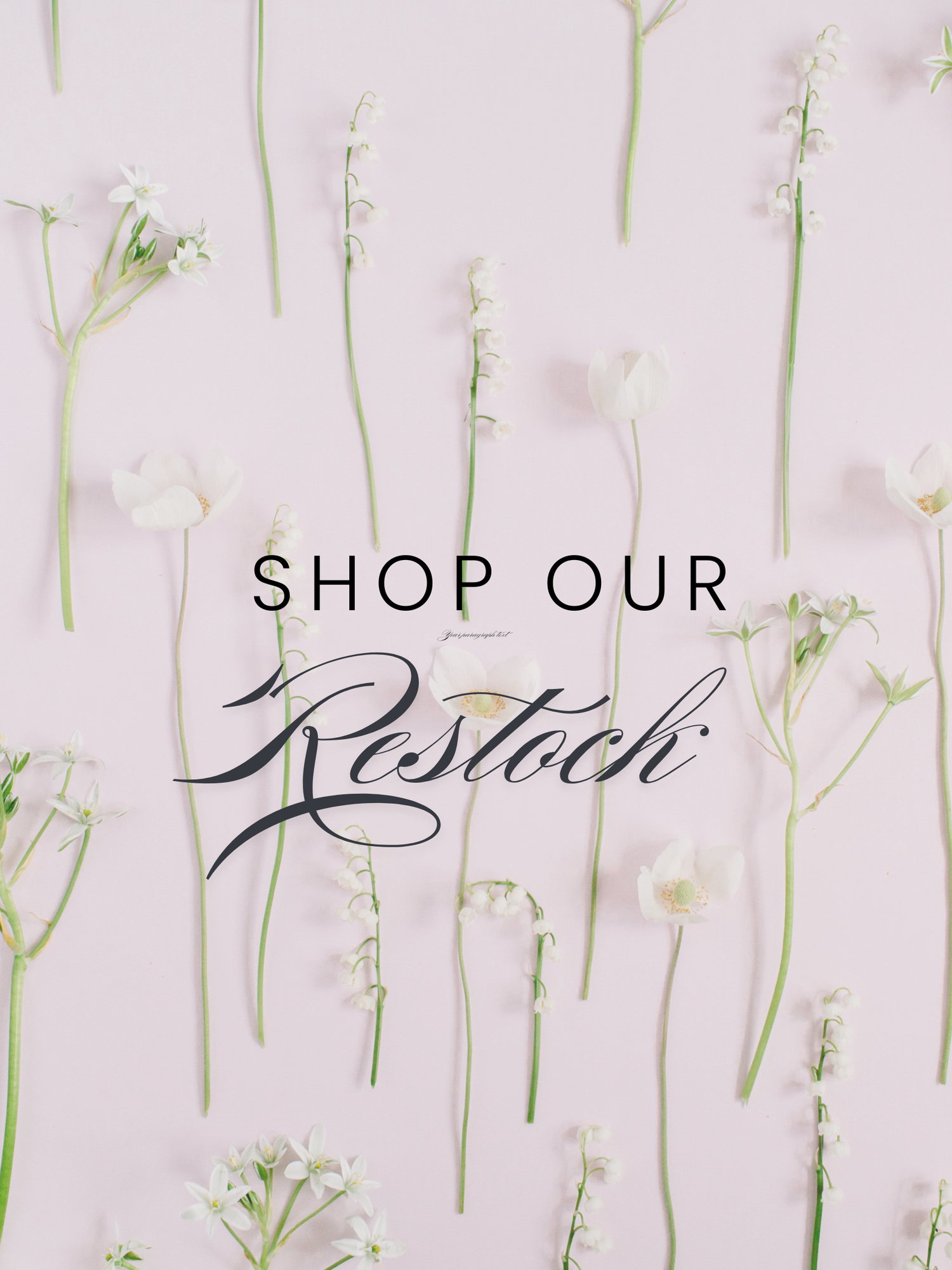 SHOP OUR RESTOCK 🖤