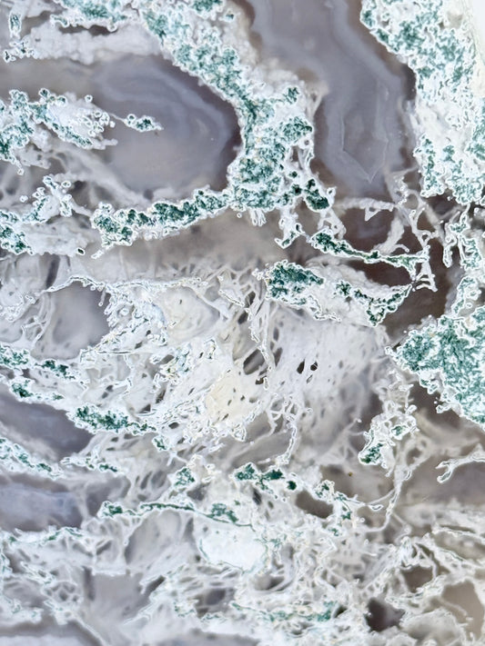 Moss Agate Tear Drop